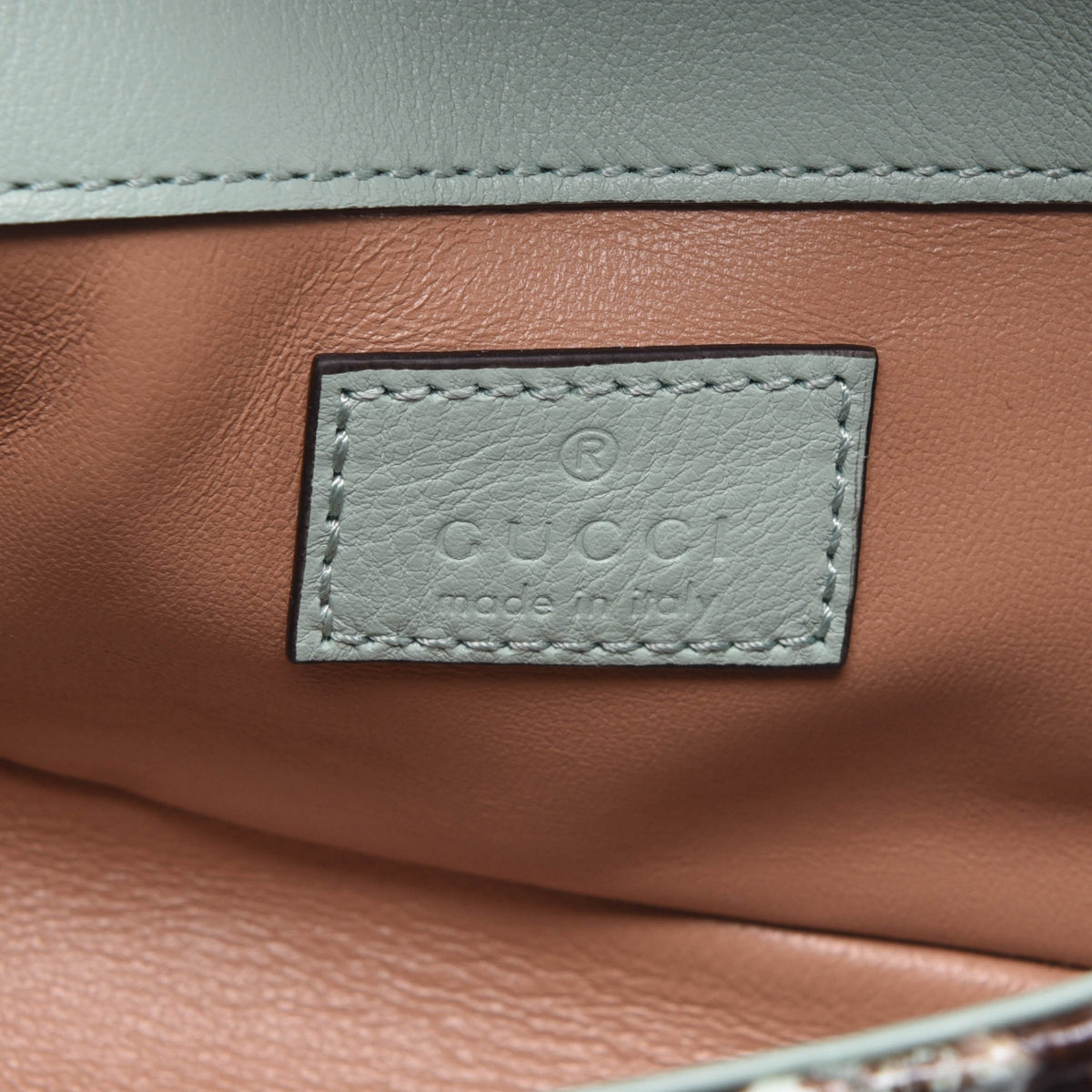 Gucci Aqua Python GG Marmont Mini Bag