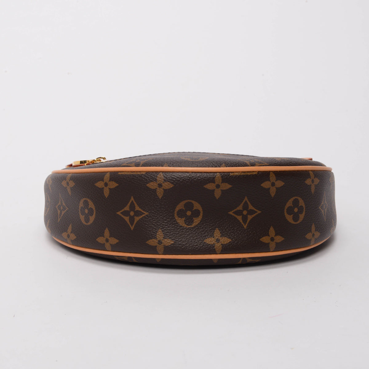 Louis Vuitton Monogram Canvas Loop Bag