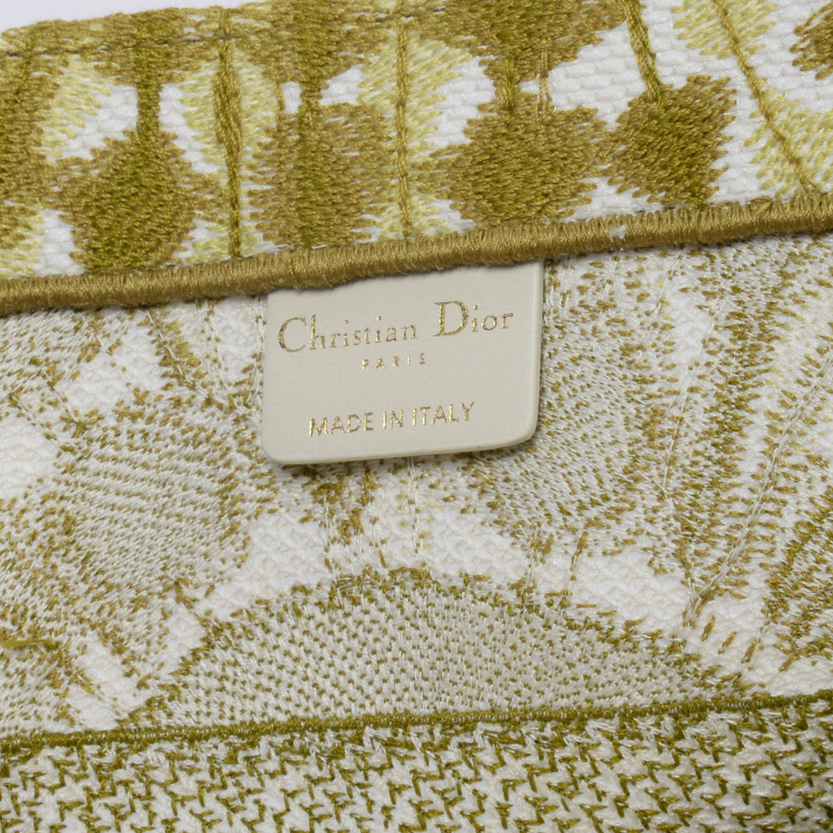 Dior Green Tie Dye Canvas Medium Book Tote