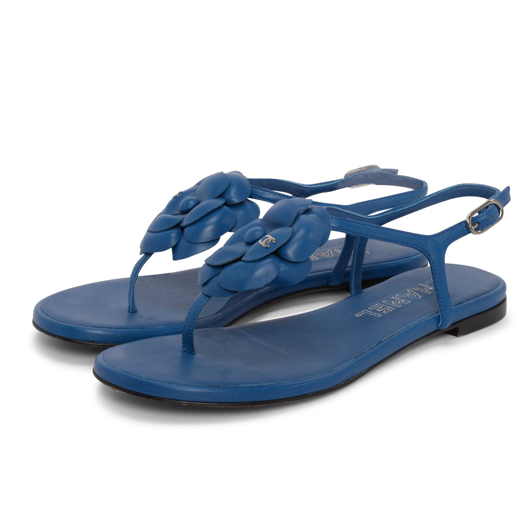 Chanel Blue Lambskin CC Camellia Thong Sandals 37