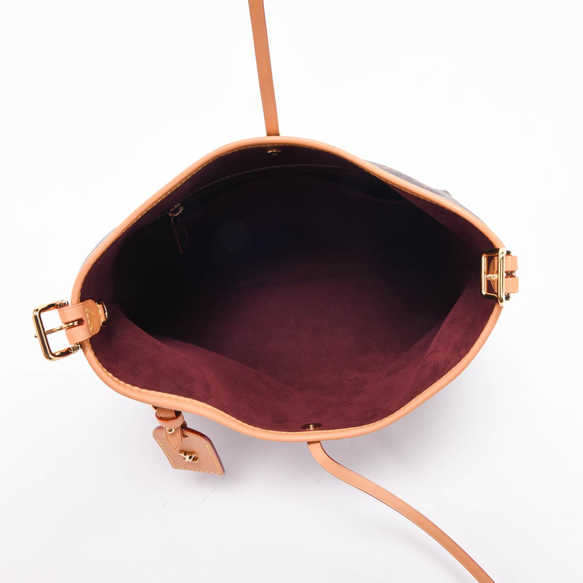 Louis Vuitton Monogram Canvas CarryAll PM