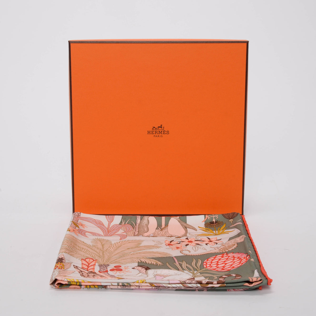 Hermes Kaki Silk Precious Paradise Scarf