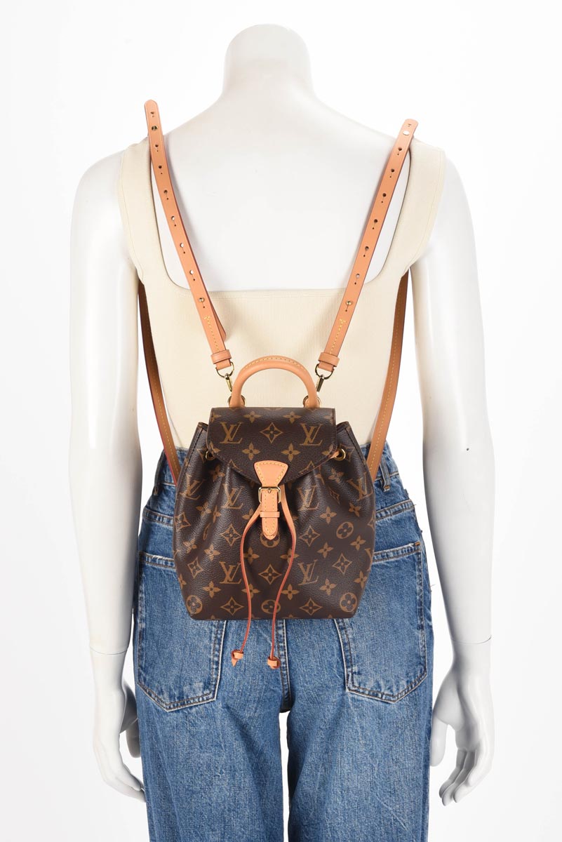 Louis Vuitton Monogram Canvas Montsouris BB Backpack