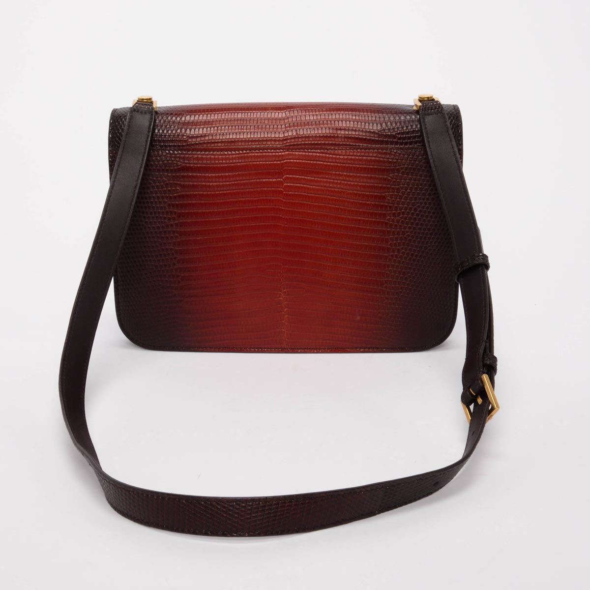 Saint Laurent Dark Brown Ombre Lizard Le Carre Bag