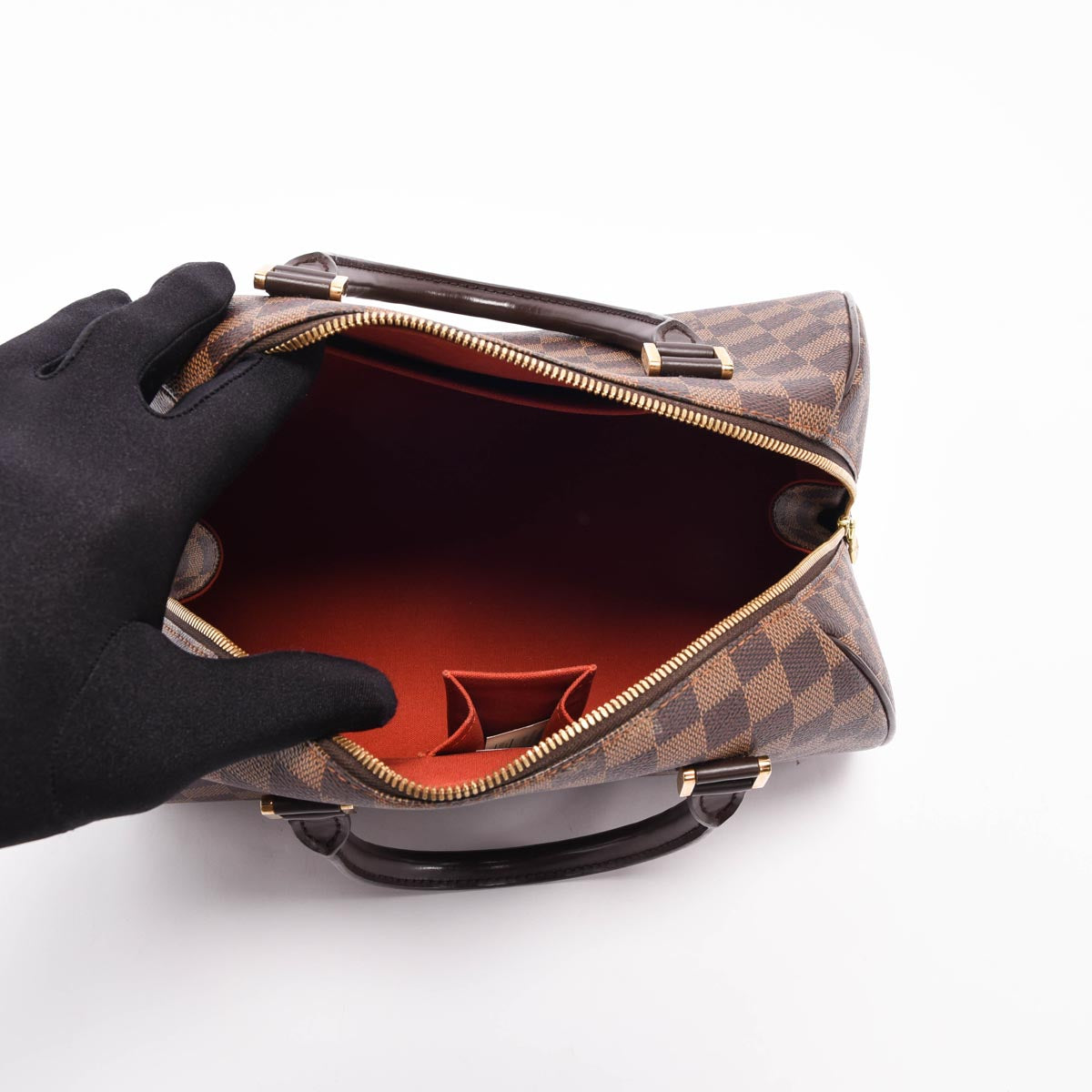 Louis Vuitton Damier Ebene Ribera MM Bag