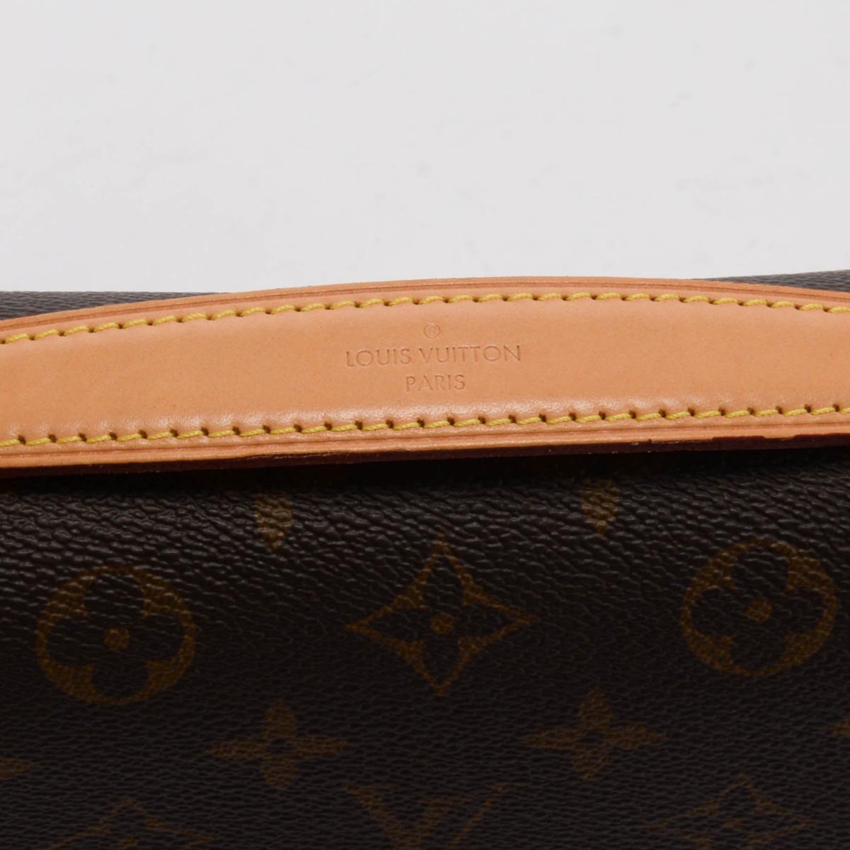 Louis Vuitton Monogram Canvas Pochette Metis
