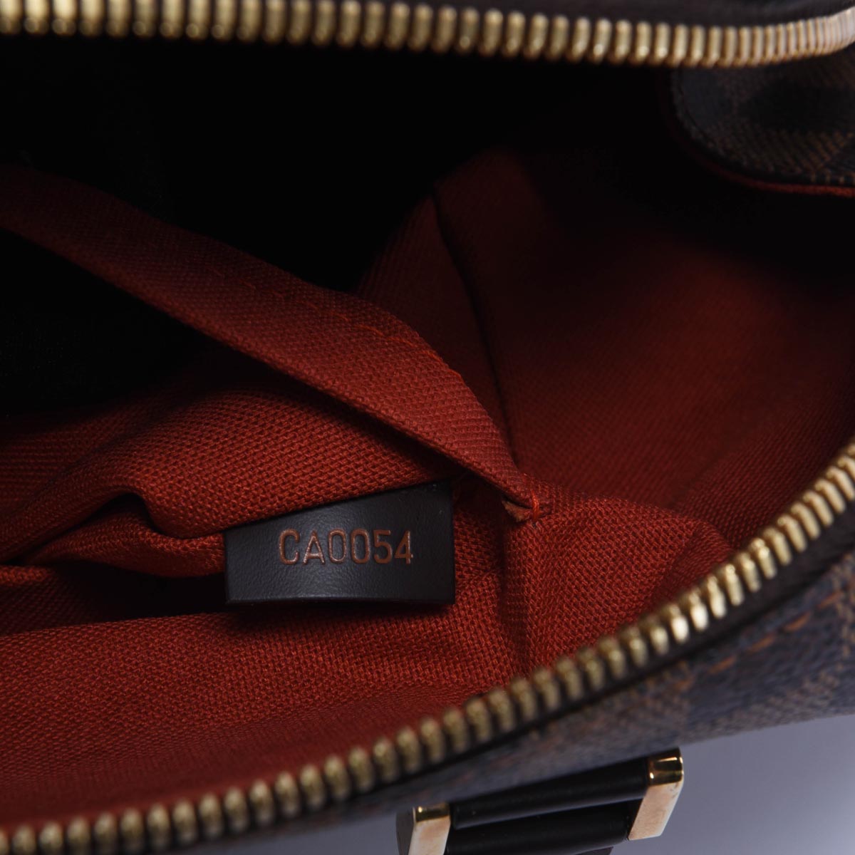 Louis Vuitton Damier Ebene Ribera MM Bag