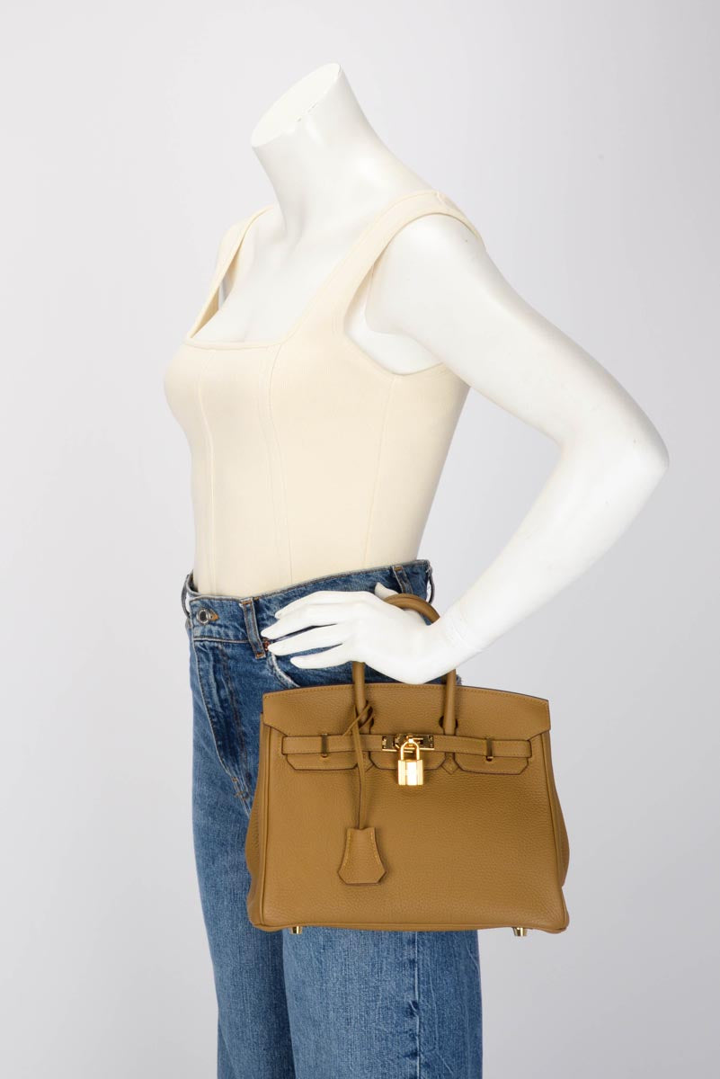 Hermes Bronze Dore Togo Birkin 25 GHW