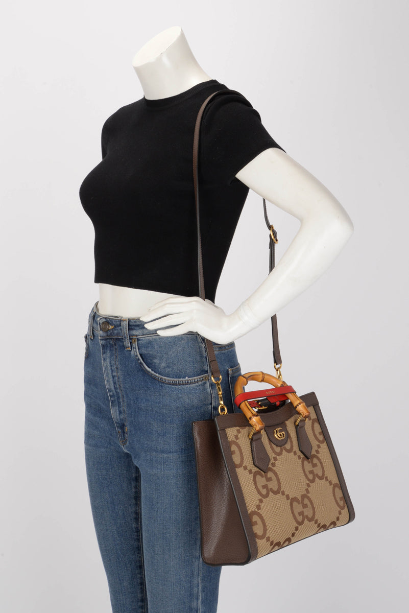 Gucci Brown Textured Dollar Calfskin Jumbo GG Small Diana Bag