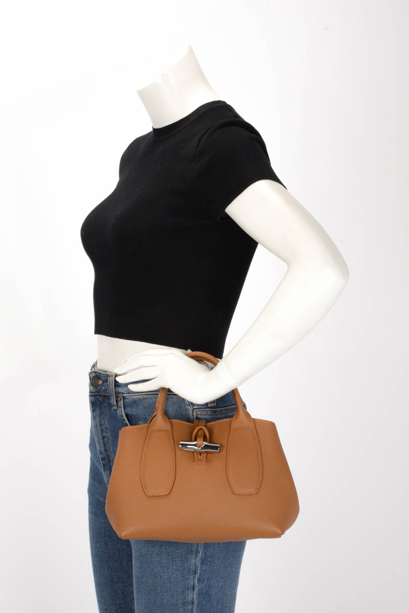 Longchamp Tan Calfskin Small Le Roseau Bag
