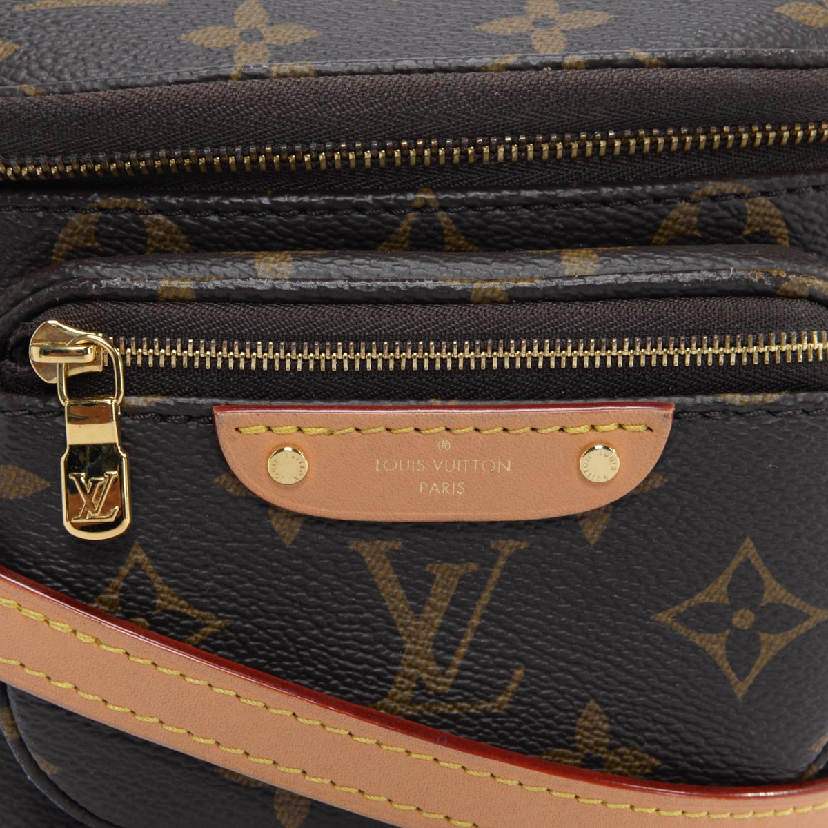 Louis Vuitton Monogram Canvas Mini Bumbag