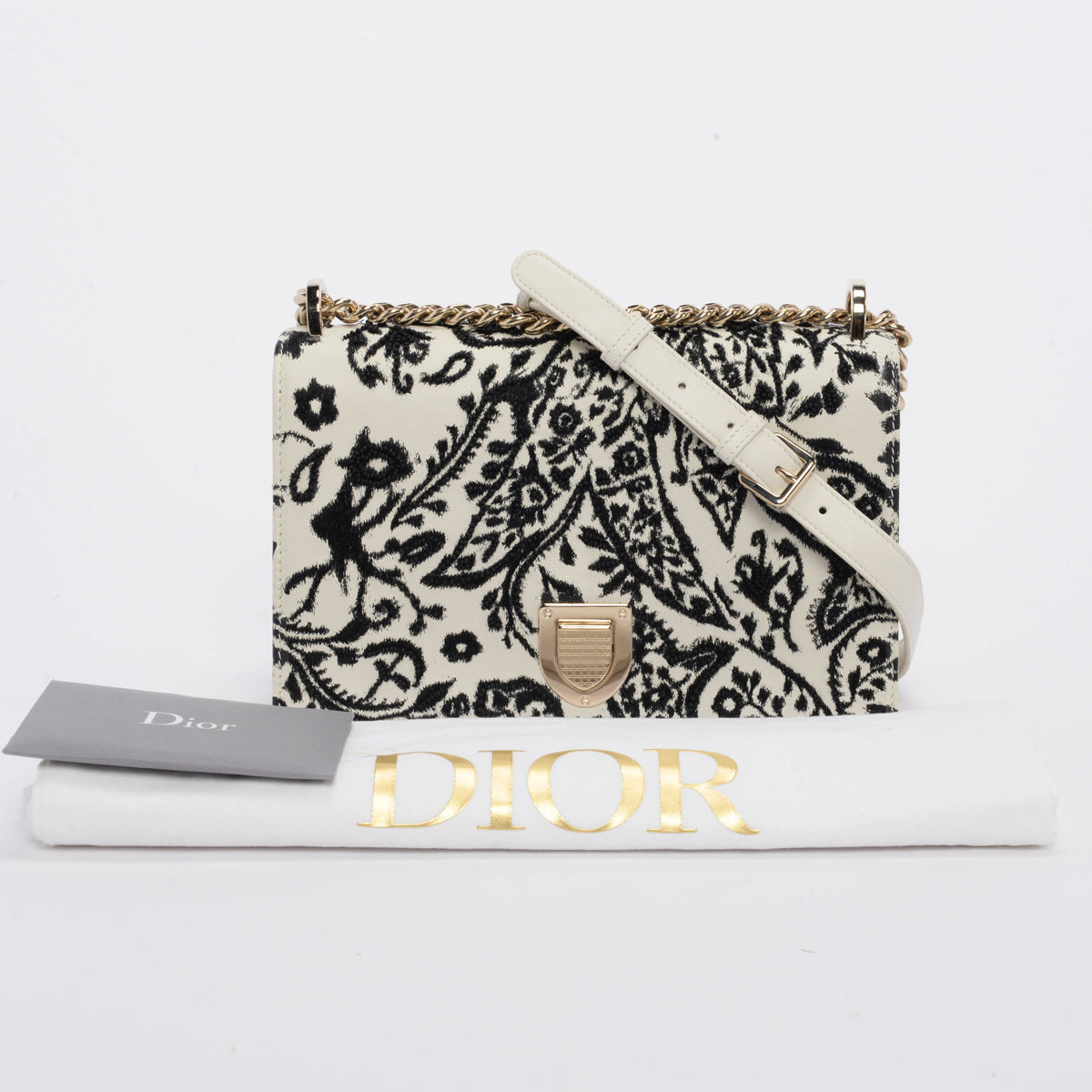 Dior Ivory & Black Calfskin Embroidered Diorama Beaded Bag