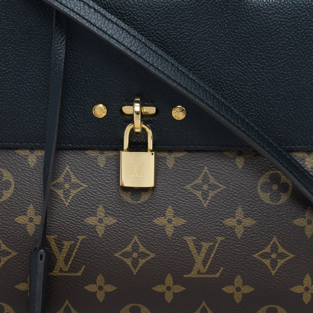 Louis Vuitton Black Monogram Venus Bag