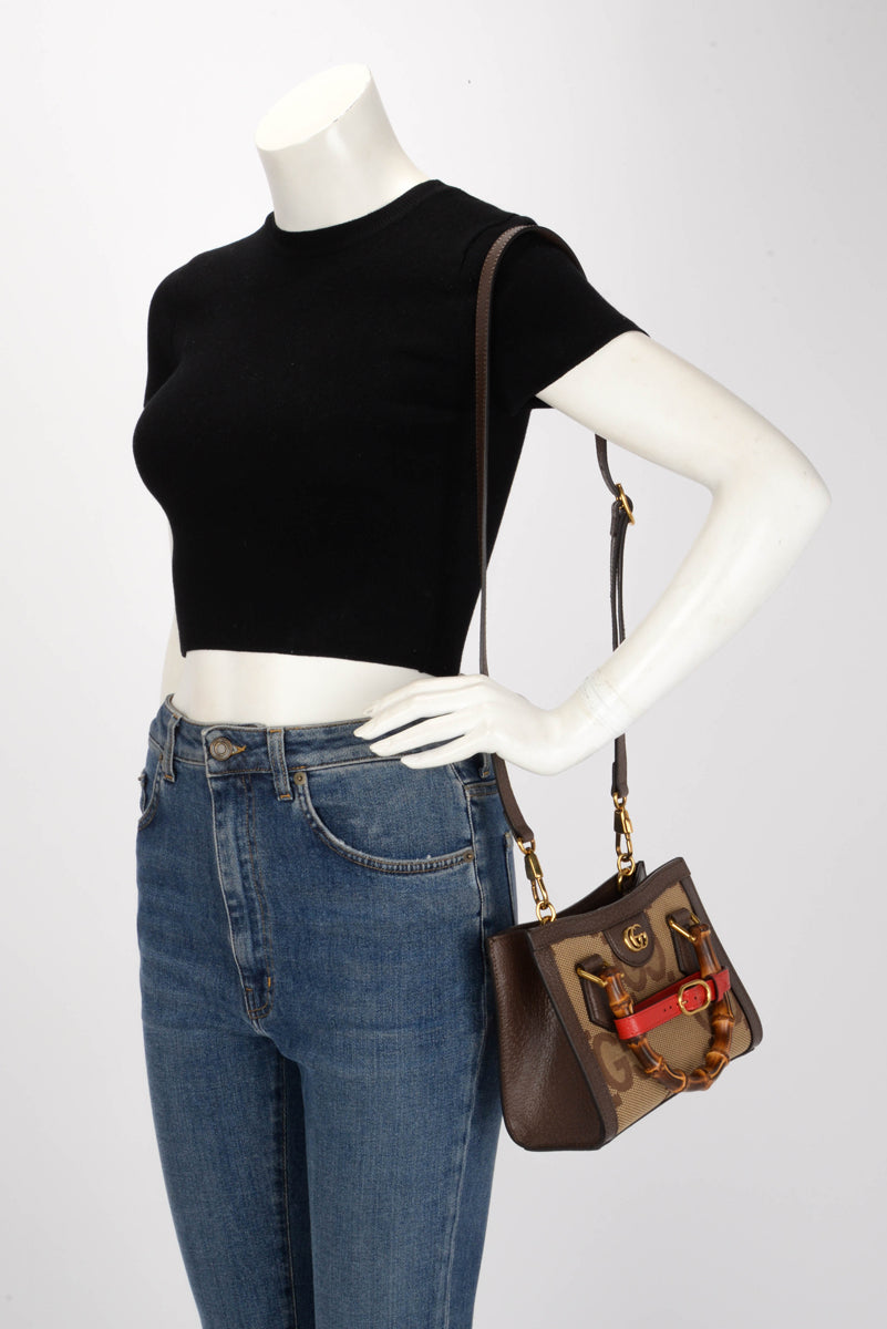 Gucci Brown Textured Dollar Calfskin Jumbo GG Mini Diana Bag