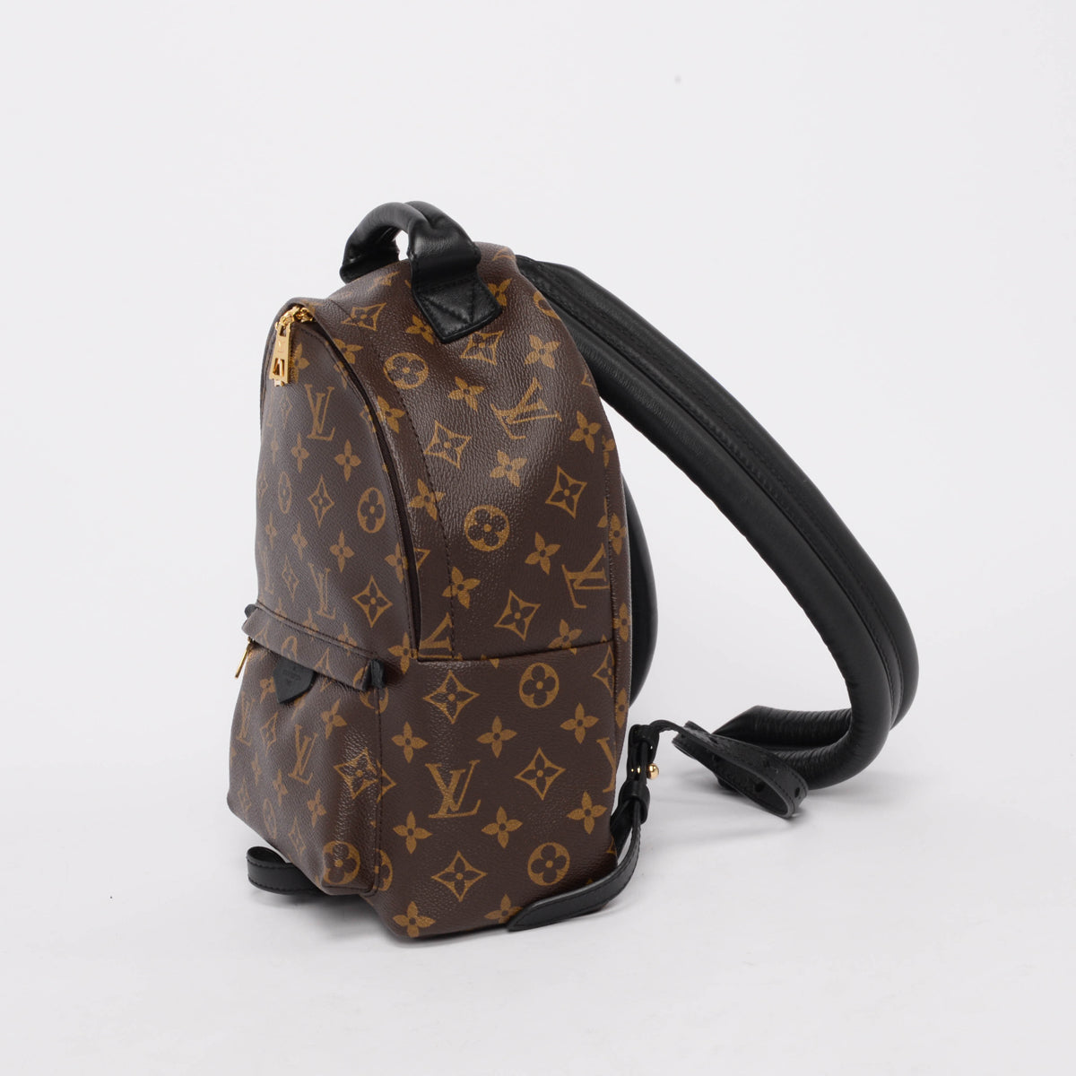 Louis Vuitton Monogram Palm Springs PM Backpack