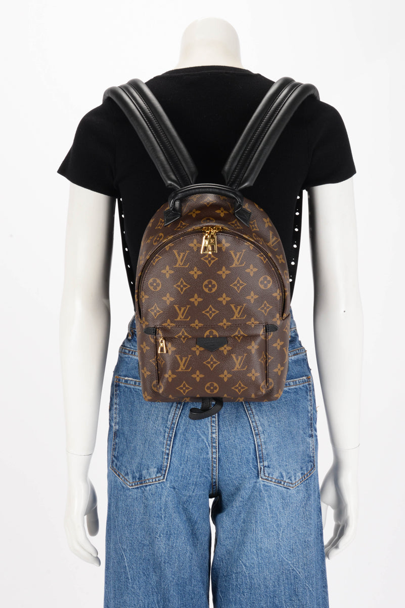 Louis Vuitton Monogram Palm Springs PM Backpack