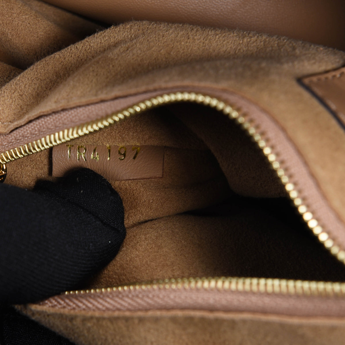 Louis Vuitton Sesame Grained Calfskin & Monogram Double V Bag