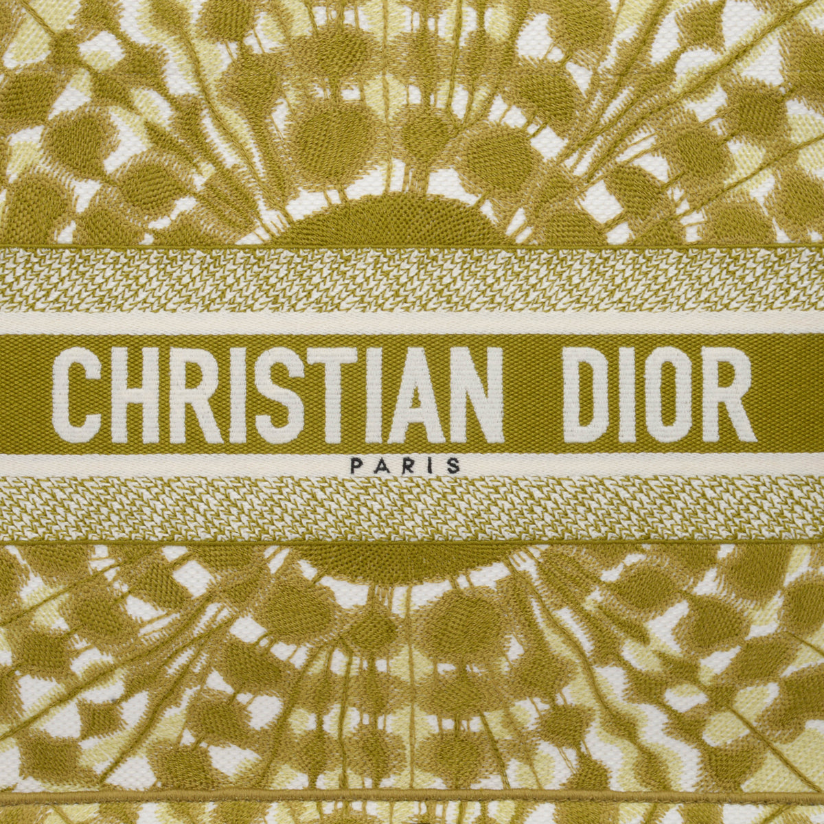 Dior Green Tie Dye Canvas Medium Book Tote