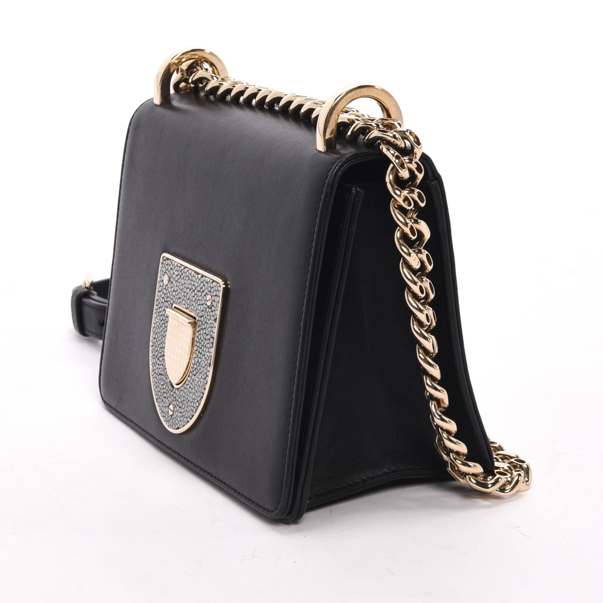 Dior Black Calfskin & Stingray Diorama Club Bag