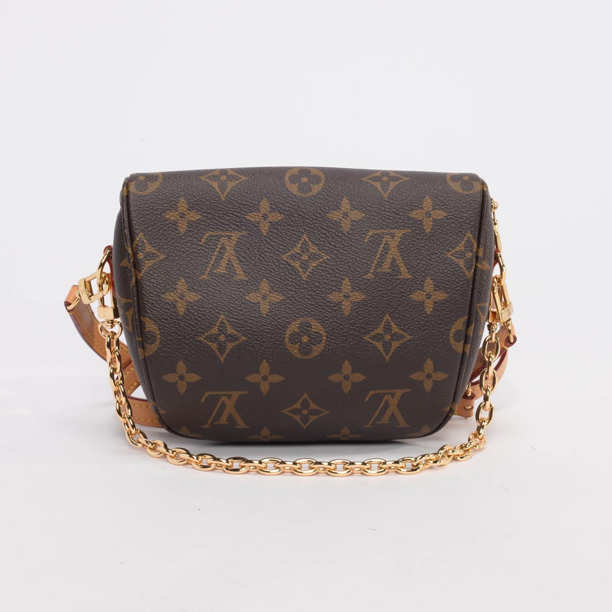 Louis Vuitton Monogram Canvas Mini Bumbag