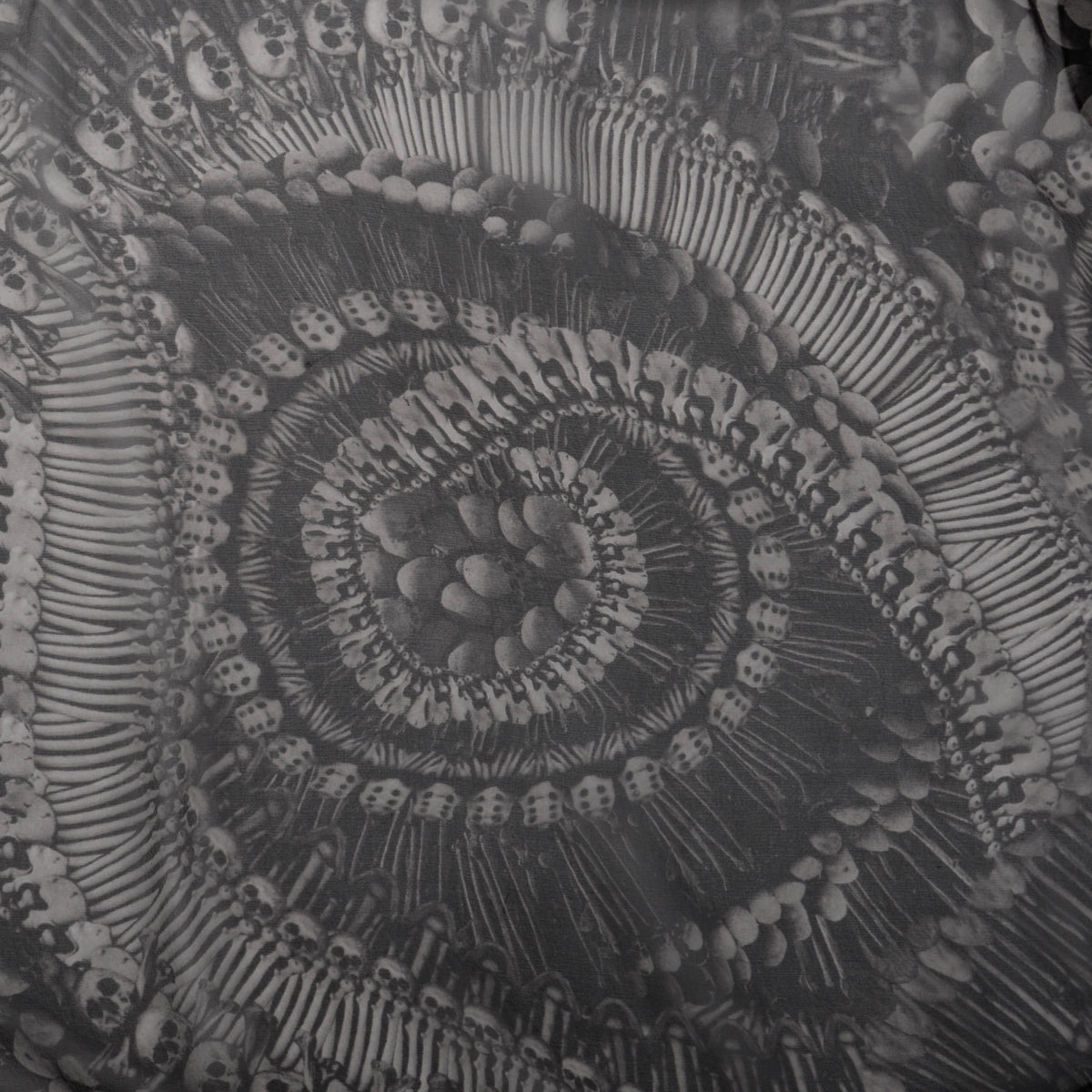 Alexander McQueen Black Silk Chiffon 2010 Catacombs Skull Scarf