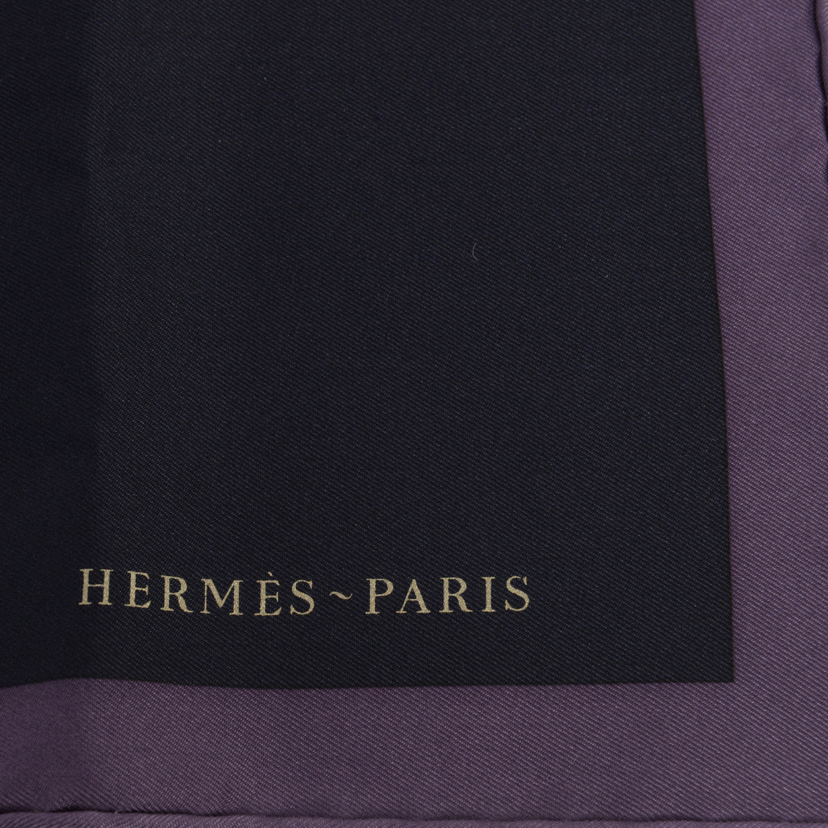 Hermes Aubergine Silk Robe Legere Detail Scarf