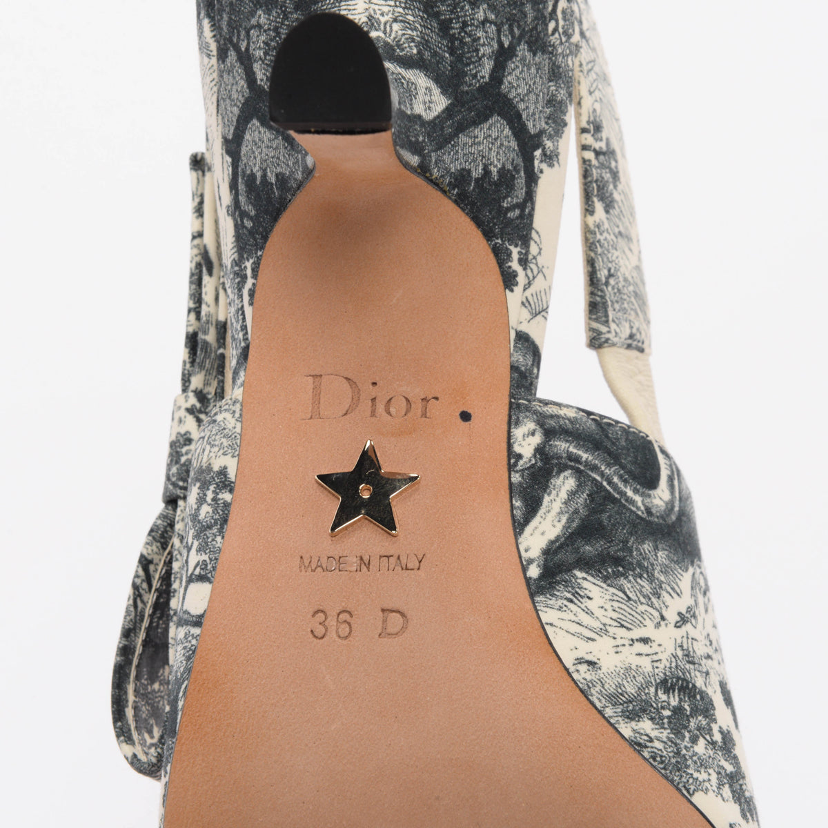 Dior Blue Toile De Jouy Sweet D Slingback Pumps 36