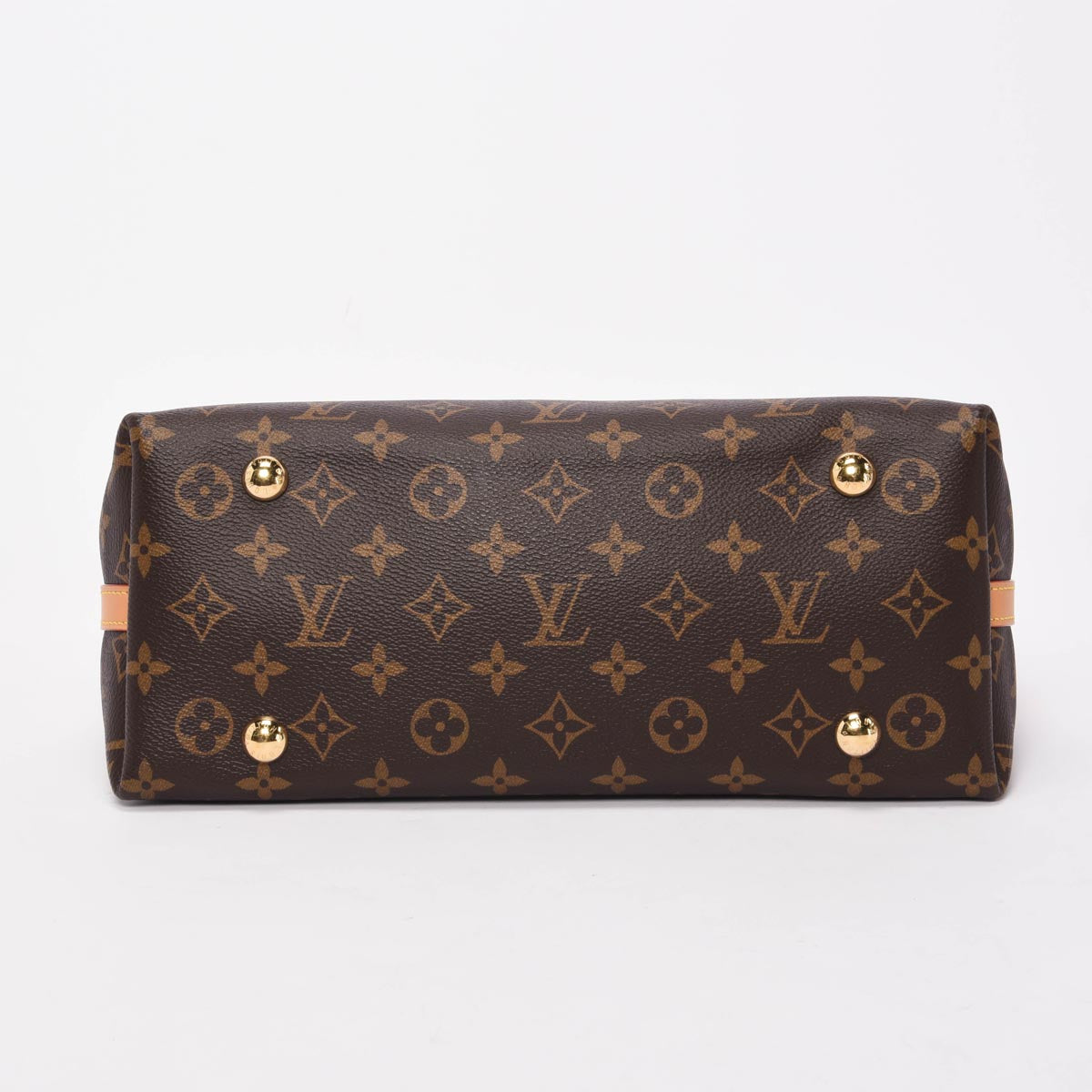 Louis Vuitton Monogram Canvas CarryAll PM
