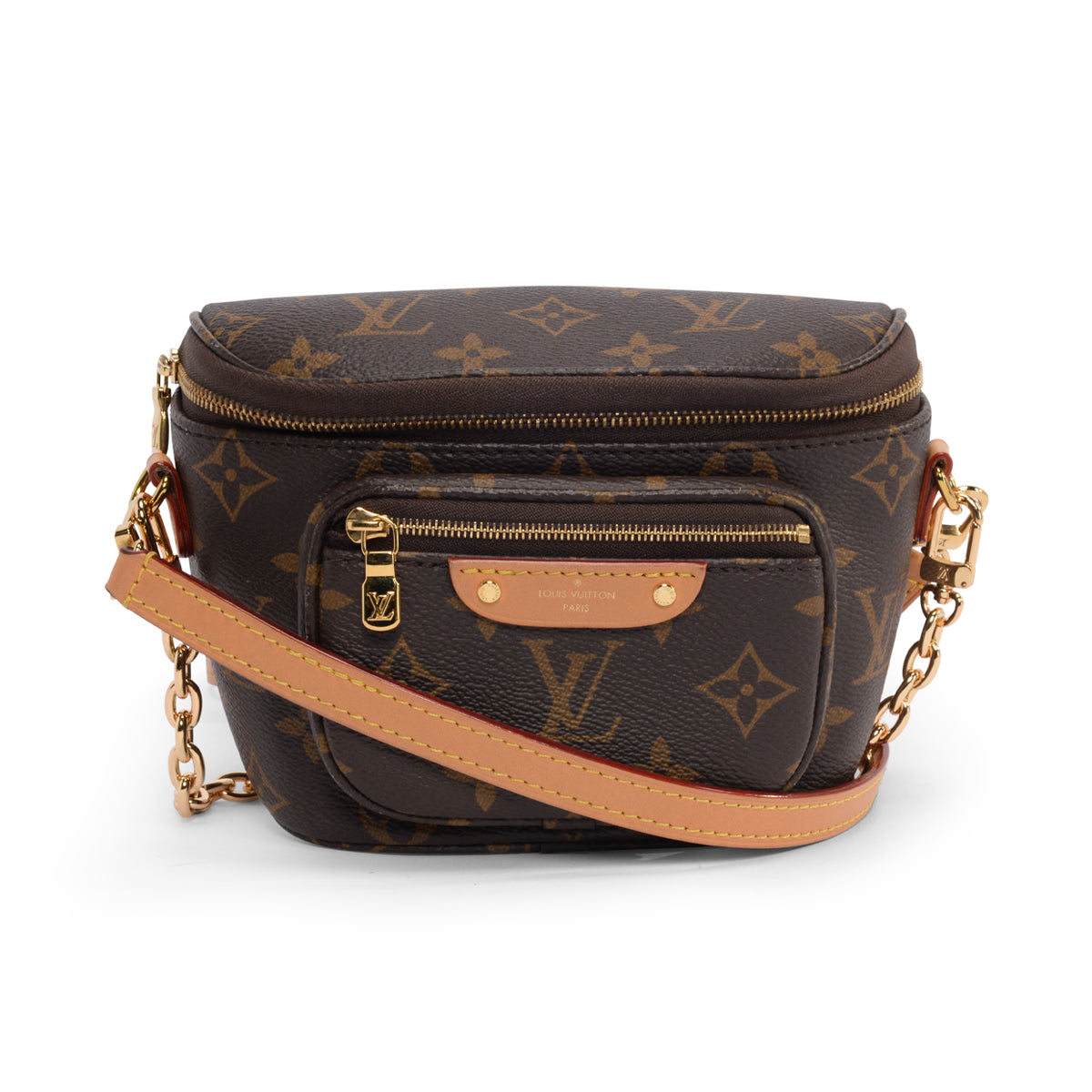 Louis Vuitton Monogram Canvas Mini Bumbag