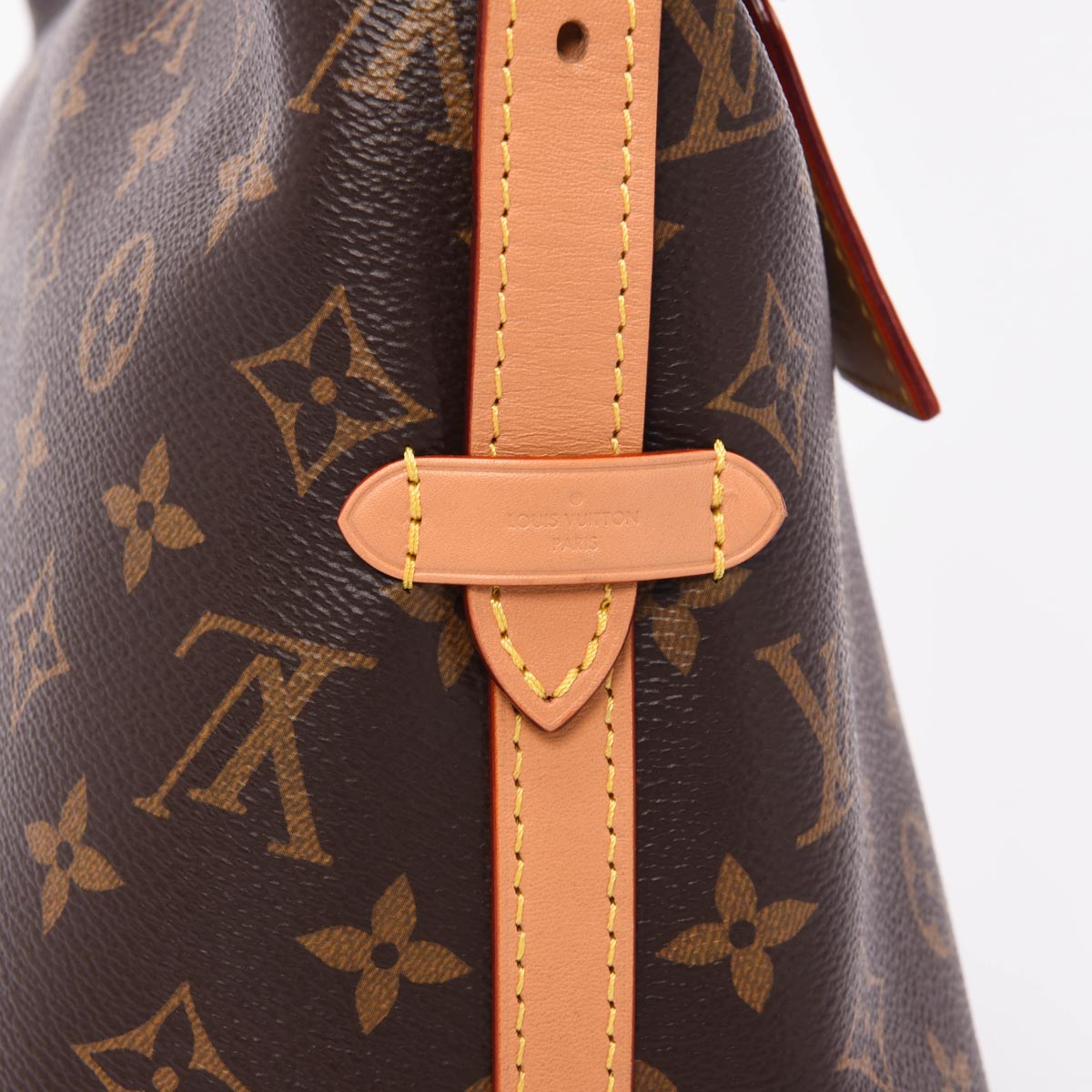 Louis Vuitton Monogram Canvas CarryAll PM