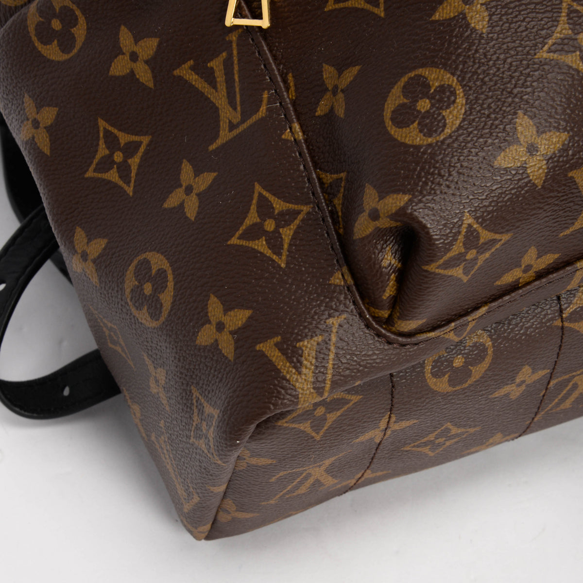 Louis Vuitton Noir Monogram Canvas Palm Springs MM Backpack