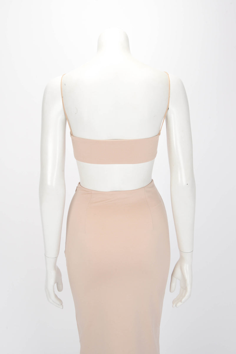 Miu Miu Cammeo Jersey Stretch Logo Patch Crop Top IT 36