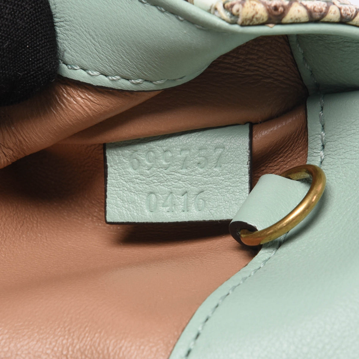 Gucci Aqua Python GG Marmont Mini Bag