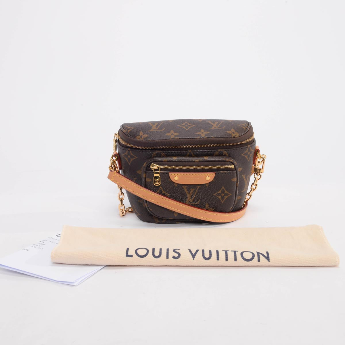 Louis Vuitton Monogram Canvas Mini Bumbag