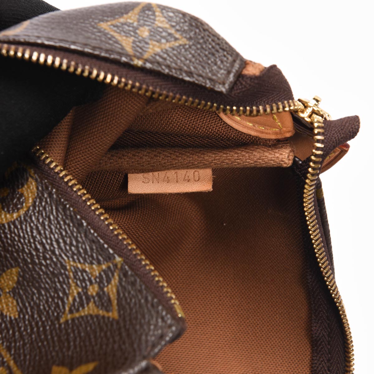 Louis Vuitton Monogram Eva Pochette Bag