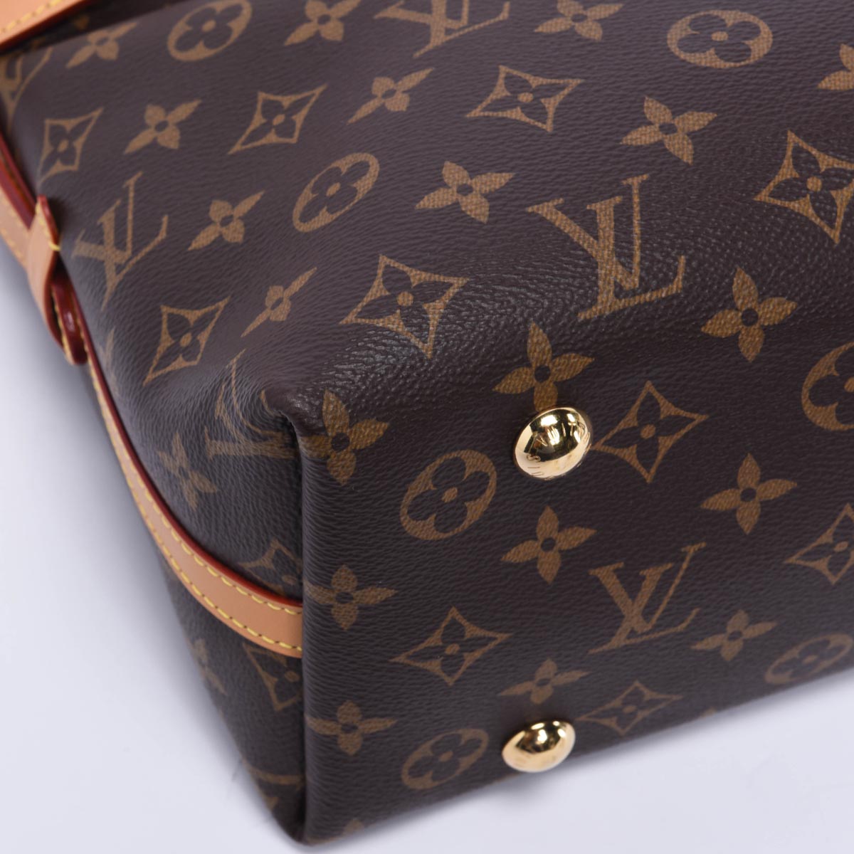 Louis Vuitton Monogram Canvas CarryAll PM
