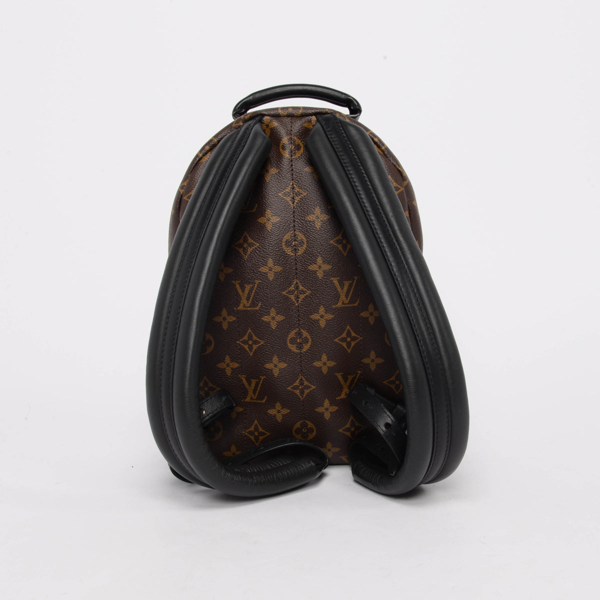 Louis Vuitton Monogram Palm Springs PM Backpack